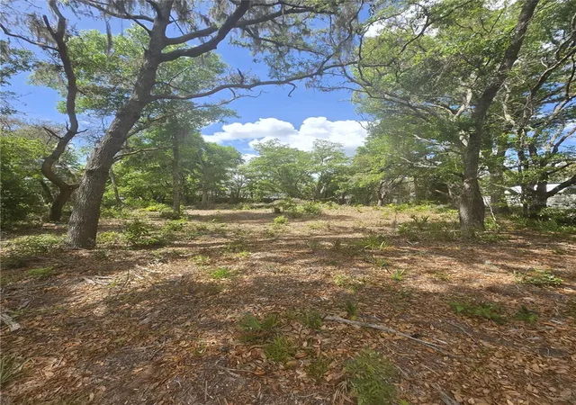 Photo 3 of Land for sale at 8140 Walt Williams Rd, Lakeland, FL 33809 | MLS# S5147069 | Listing updated on 2026-09-02