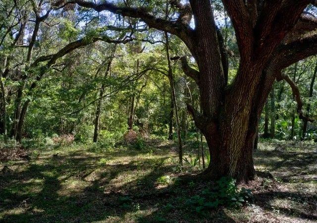 Photo 1 of Land for sale at 5005 Sw 63rd Boulevard, Gainesville, FL 32608 | MLS# GC539094 | Listing updated on 2026-08-07