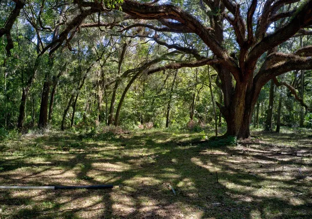 Photo 2 of Land for sale at 5005 Sw 63rd Boulevard, Gainesville, FL 32608 | MLS# GC539094 | Listing updated on 2026-08-07