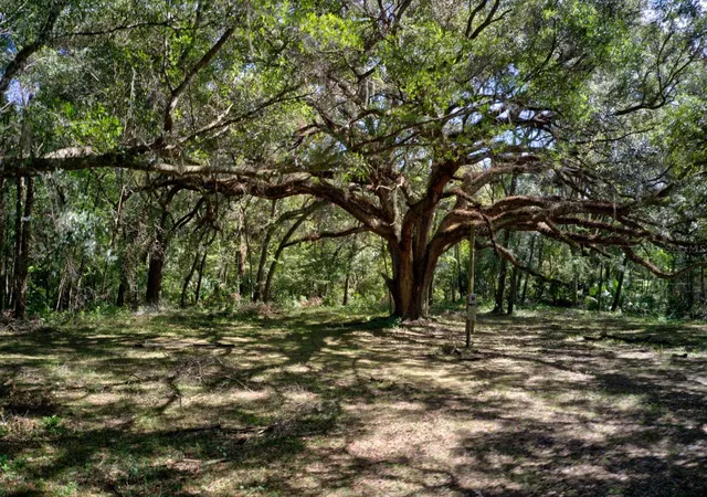 Photo 3 of Land for sale at 5005 Sw 63rd Boulevard, Gainesville, FL 32608 | MLS# GC539094 | Listing updated on 2026-08-07
