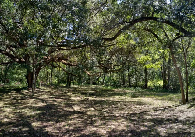 Photo 3 of Land for sale at 5005 SW 63rd Boulevard, Gainesville, FL 32608 | MLS# GC539094 | Listing updated on 2026-08-07