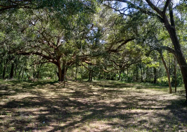 Photo 4 of Land for sale at 5005 SW 63rd Boulevard, Gainesville, FL 32608 | MLS# GC539094 | Listing updated on 2026-08-07