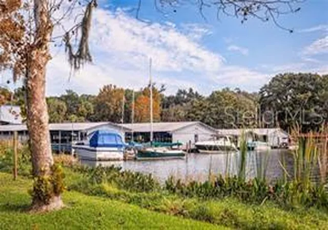63rd image of 8228 Bridgeport Bay Cir, Mount Dora, FL 32757 | MLS# G5110505