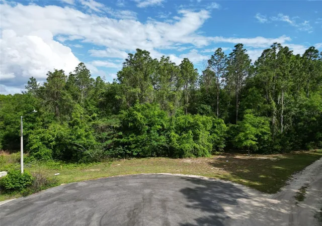 Photo 1 of Land for sale at 0000 Se 119 Street, Belleview, FL 34420 | MLS# G5110507 | Listing updated on 2026-06-08