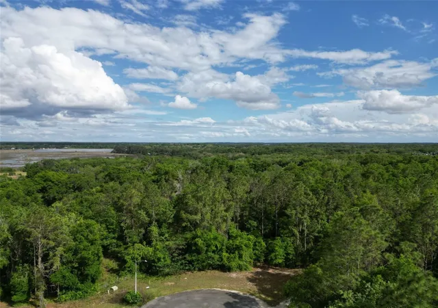 Photo 2 of Land for sale at 0000 Se 119 Street, Belleview, FL 34420 | MLS# G5110507 | Listing updated on 2026-06-08