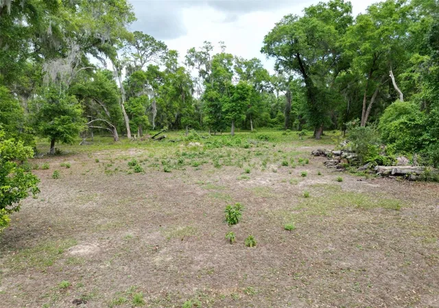 Photo 3 of Land for sale at 0000 Se 119 Street, Belleview, FL 34420 | MLS# G5110507 | Listing updated on 2026-06-08