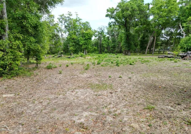 Photo 3 of Land for sale at 0000 SE 119 Street, Belleview, FL 34420 | MLS# G5110507 | Listing updated on 2026-06-08