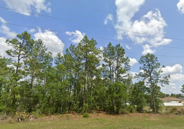 Photo 2 of Land for sale at SW 484 Highway #Lot 6, Ocala, FL 34473 | MLS# O6395915 | Listing updated on 2026-10-09