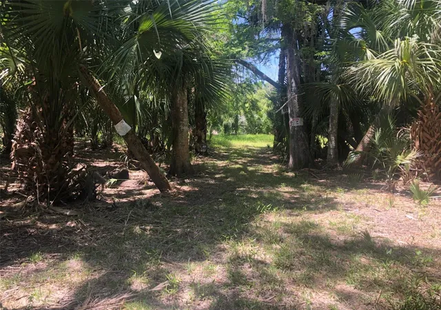 Photo 3 of Land for sale at 241 Nova Dr, Sanford, FL 32771 | MLS# O6395942 | Listing updated on 2026-06-05