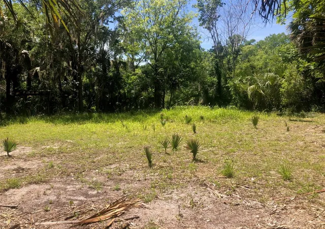 Photo 4 of Land for sale at 241 Nova Dr, Sanford, FL 32771 | MLS# O6395942 | Listing updated on 2026-06-05