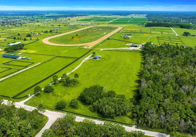 Photo 1 of Single family home for sale at 12451 Ne 20th Street, Williston, FL 32696 | MLS# OM722076 | Listing updated on 2026-06-20