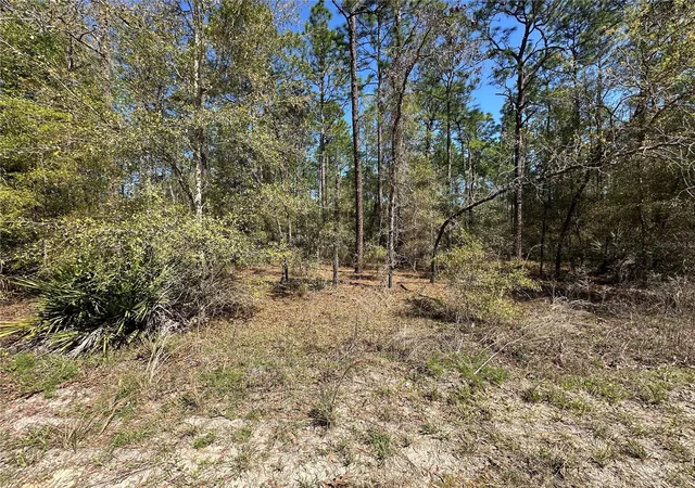 1st image of Tbd Sw 29th St, Ocala, FL 34481 | MLS# OM722079
