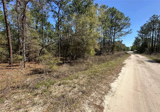 2nd image of Tbd Sw 29th St, Ocala, FL 34481 | MLS# OM722079