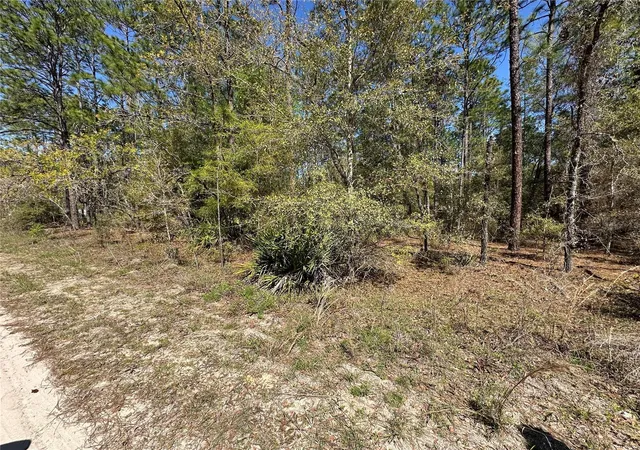 3rd image of Tbd Sw 29Th St, Ocala, FL 34481 | MLS# OM722079