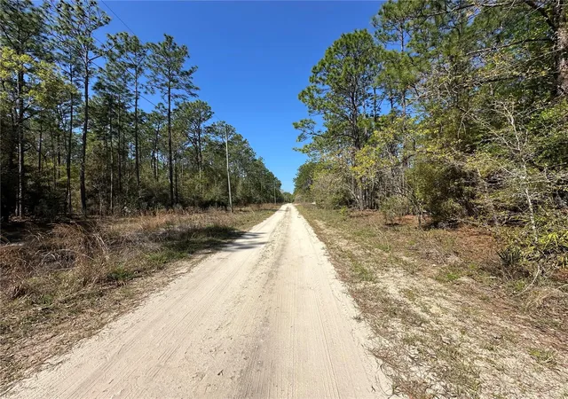 4th image of Tbd Sw 29Th St, Ocala, FL 34481 | MLS# OM722079