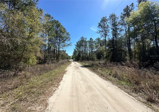 5th image of Tbd Sw 29Th St, Ocala, FL 34481 | MLS# OM722079
