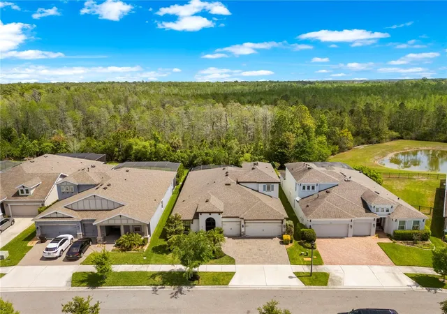 Homes for sale in Land O Lakes, FL | 4374 Tuner Bnd, Land O Lakes, FL 34638 | MLS# TB8493551