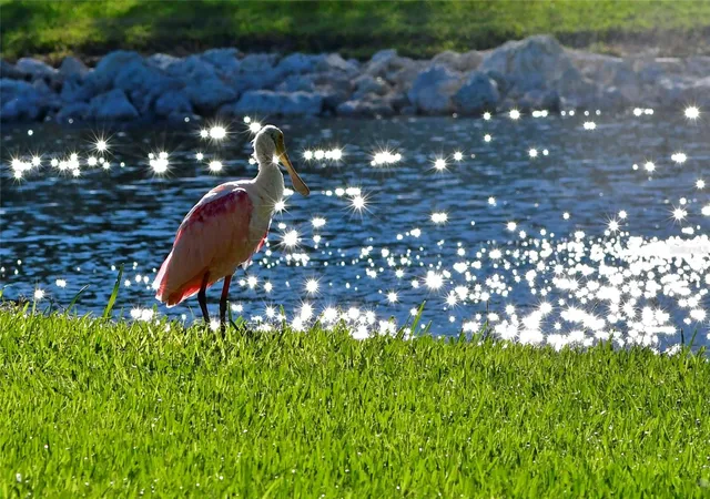 Listing Photo 5 - Condo for sale in building located at 4726 Potomac Cir, BRADENTON, FL 34210