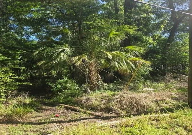 2nd image of 0 Fort Dade Ave, Brooksville, FL 34601 | MLS# TB8493754