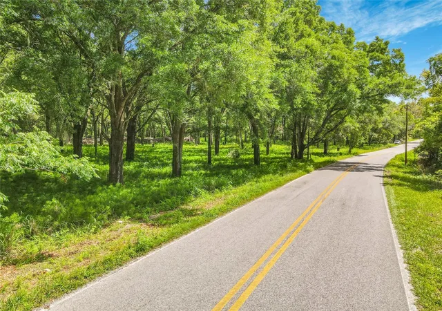 Photo 3 of Land for sale at 164 Denver Rd, Crescent City, FL 32112 | MLS# V4948318 | Listing updated on 2026-04-13