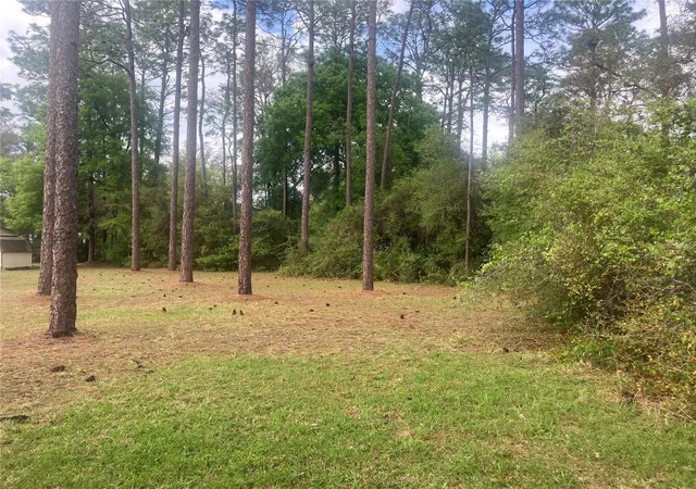 2nd image of Se 19th Pl Se 19th Pl, Silver Springs, FL 34488 | MLS# O6396129