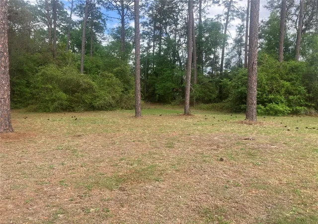 Photo 3 of Manufactured home for sale at SE 19th Place, Silver Springs, FL 34488 | MLS# O6396129 | Listing updated on 2026-09-07
