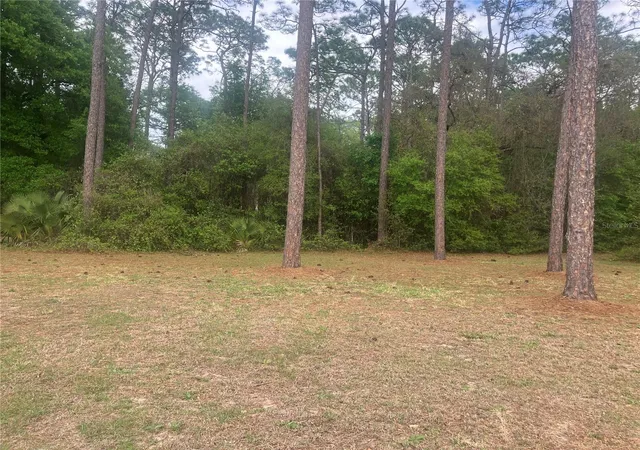 Photo 4 of Manufactured home for sale at SE 19th Place, Silver Springs, FL 34488 | MLS# O6396129 | Listing updated on 2026-09-07