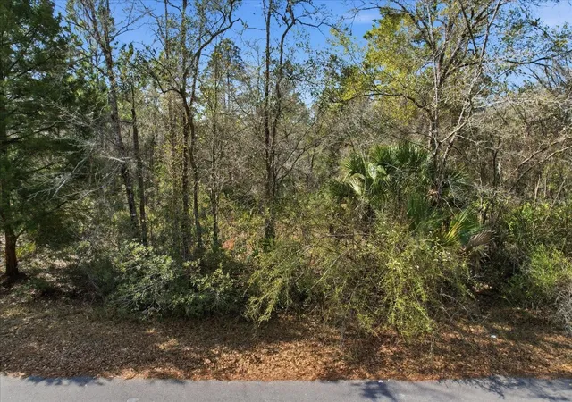 Photo 4 of Land for sale at 9568 N Dawnflower Ave, Crystal River, FL 34428 | MLS# TB8493851 | Listing updated on 2026-09-03