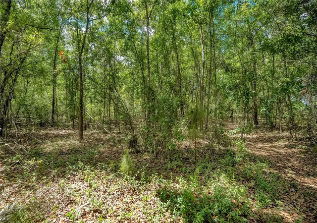 4th image of 1903 Spruce Creek Cir N, Port Orange, FL 32128 | MLS# O6396236