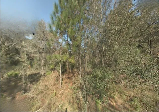 2nd image of Sw 22nd St, Ocala, FL 34481 | MLS# S5147193