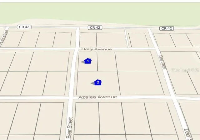 Homes for sale in Paisley, FL | 28520 Holly Ave, Paisley, FL 32767 | MLS# O6396426