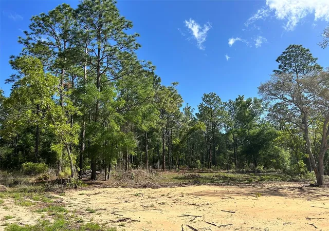 11th image of Tbd Sw 157th Ave #4, Ocala, FL 34481 | MLS# OM722209