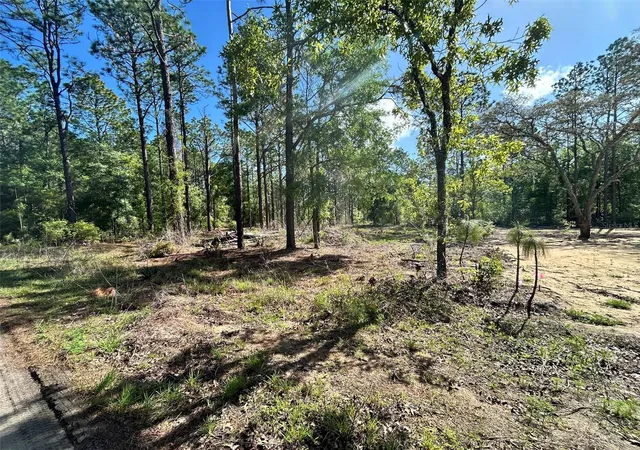 2nd image of Tbd Sw 157th Ave #4, Ocala, FL 34481 | MLS# OM722209