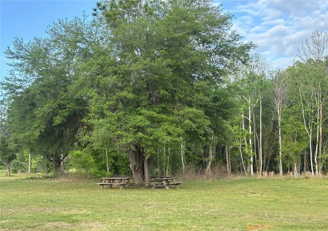 1st image of Se Hawthorne Rd, Hawthorne, FL 32640 | MLS# GC539183