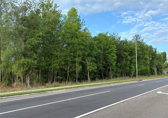 4th image of Se Hawthorne Rd, Hawthorne, FL 32640 | MLS# GC539183