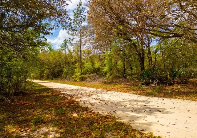 Homes for sale in Bronson, FL | 00 Ne 131St Terrace, Bronson, FL 32621 | MLS# OM722251