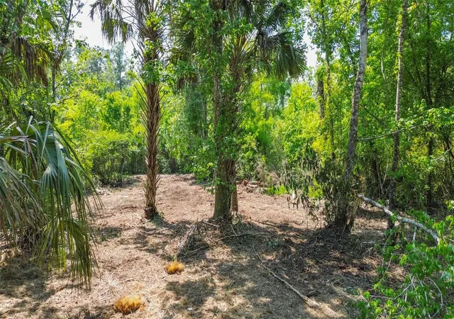 1st image of 0 Muddy Water Trl, Thonotosassa, FL 33592 | MLS# TB8494444