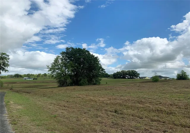 Photo 3 of Land for sale at 21635 SW 10th Street, Dunnellon, FL 34431 | MLS# TB8494568 | Listing updated on 2026-08-07