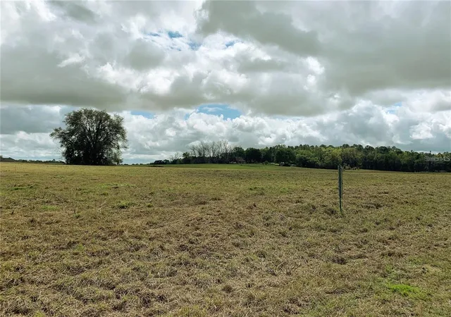 Photo 4 of Land for sale at 21635 SW 10th Street, Dunnellon, FL 34431 | MLS# TB8494568 | Listing updated on 2026-08-07