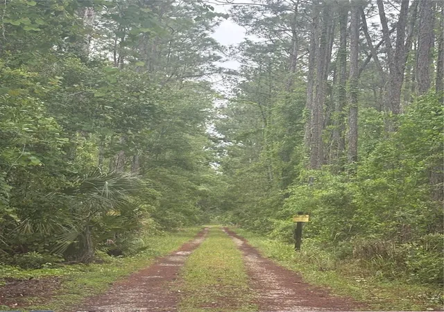 Photo 1 of Land for sale at 130 Jesse Michael Dr, Deland, FL 32724 | MLS# O6396805 | Listing updated on 2026-07-30