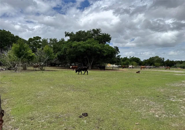 Photo 3 of Land for sale at 1804 Zipperer Rd, Bradenton, FL 34212 | MLS# TB8494718 | Listing updated on 2026-08-25