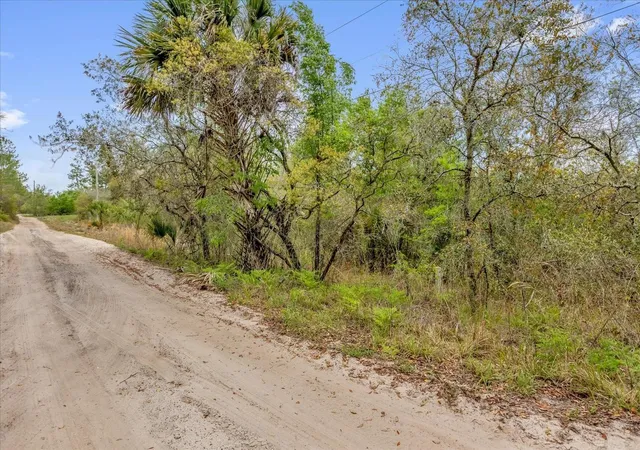 3rd image of Chestnut Ave, Orange City, FL 32763 | MLS# O6396891