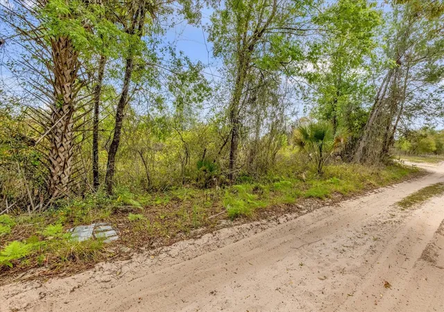 4th image of Chestnut Ave, Orange City, FL 32763 | MLS# O6396891
