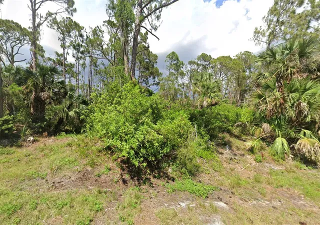 Photo 1 of Land for sale at 386 Binney Ln, Port Charlotte, FL 33953 | MLS# D6146934 | Listing updated on 2026-10-07