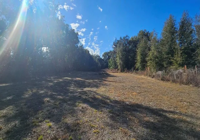 3rd image of E Cleveland St, Apopka, FL 32703 | MLS# O6396972