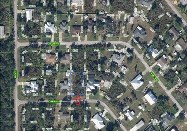 Photo 1 of Land for sale at 1507 Tamah Blvd, Lake Placid, FL 33852 | MLS# A4689149 | Listing updated on 2026-04-08