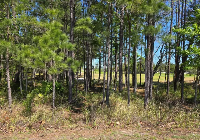 Photo 3 of Single family home for sale at 5058 Diantha Way, Brooksville, FL 34604 | MLS# TB8494884 | Listing updated on 2026-10-15