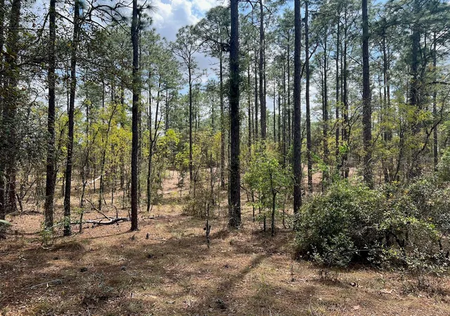 Homes for sale in Williston, FL | 10th St Se, Williston, FL 32696 | MLS# OM722320