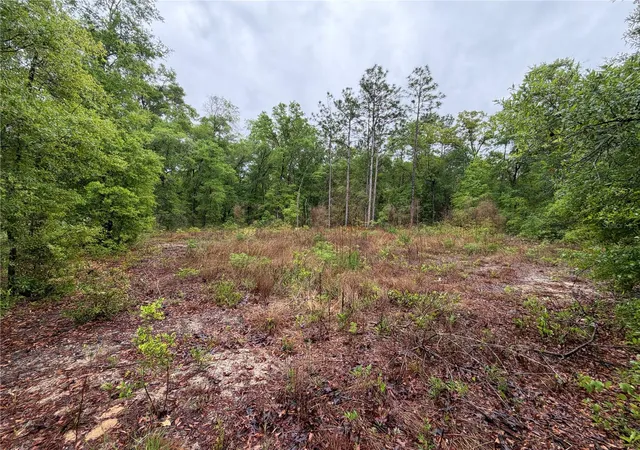 Photo 1 of Land for sale at 301 Rainbow Dr, Hawthorne, FL 32640 | MLS# GC539236 | Listing updated on 2026-07-01