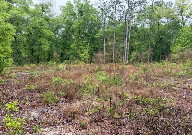 Photo 2 of Land for sale at 301 Rainbow Dr, Hawthorne, FL 32640 | MLS# GC539236 | Listing updated on 2026-07-01